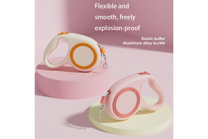 Professional Pet Leash OEM/ODM Manufacturer: Guangzhou Daimengmao Launches 5-Meter Automatic Retractable Bestseller to Empower Global Pet Brands