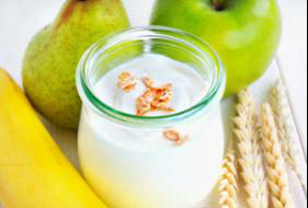 Home-made yoghurt powder