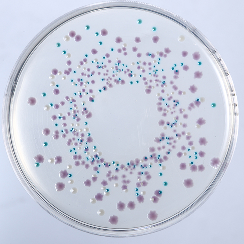 Rapid Microbial Testing