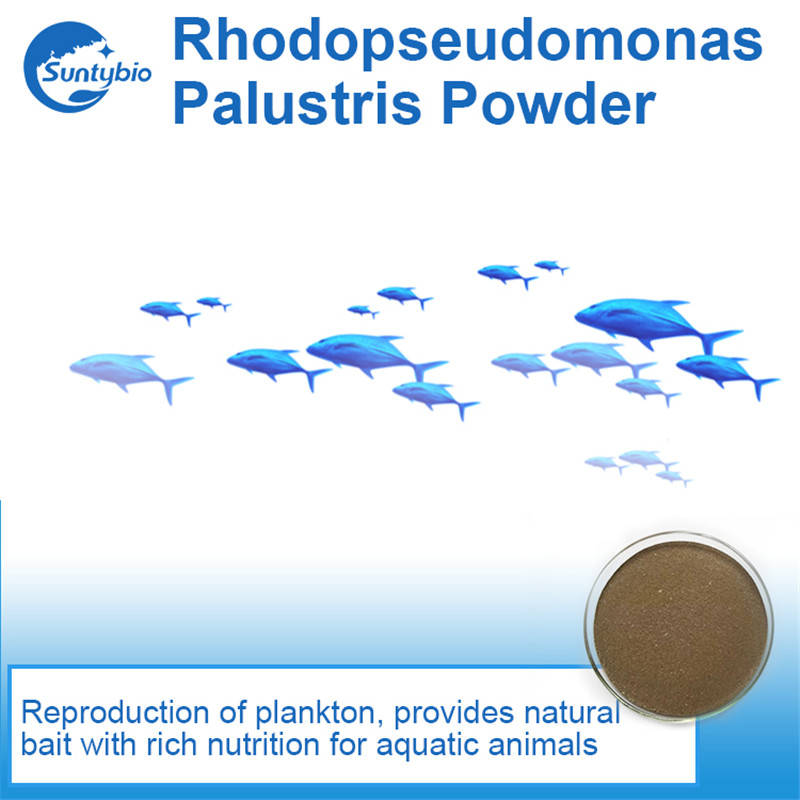 Probiotic series products