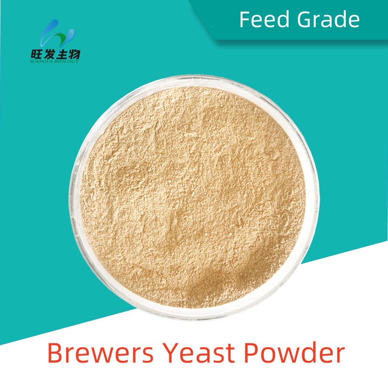 Probiotics feed additive for livestock and poultry