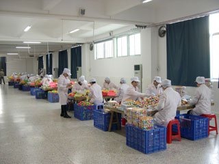 Supplier Album Image