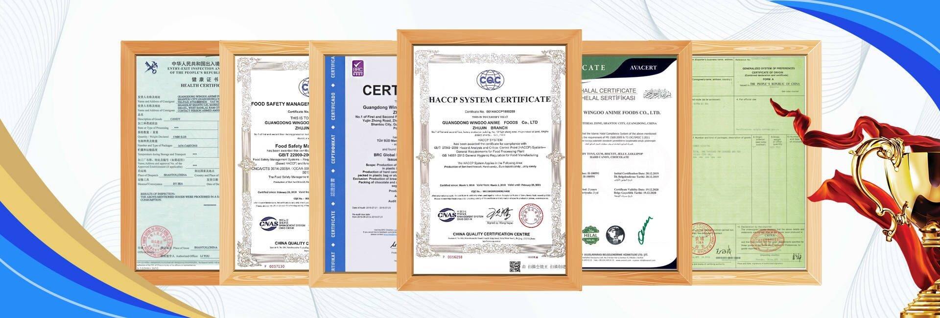 Shantou Yixin Food Co., Ltd.