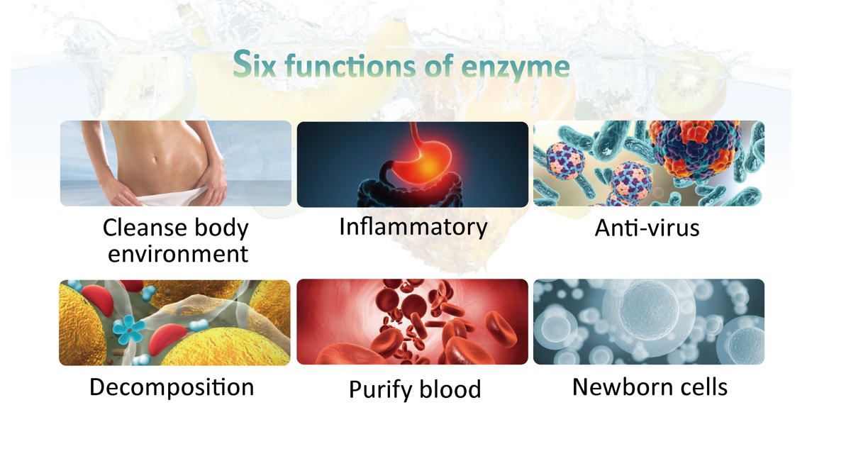 Supplier Album Image