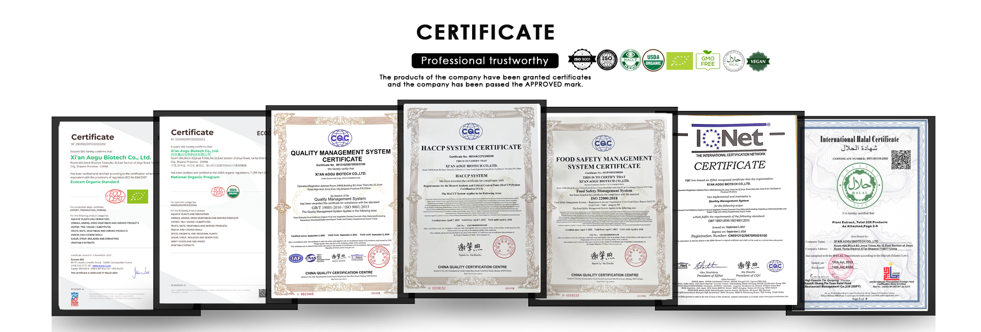 Organic Mushroom Powder