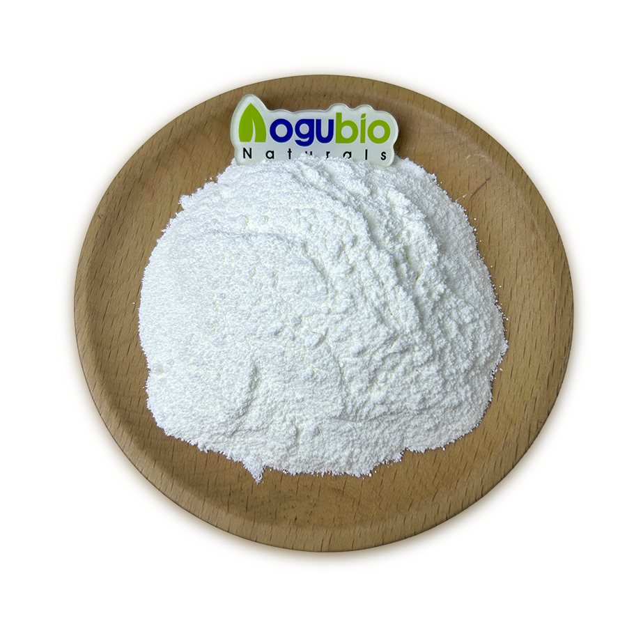 Probiotic Powder