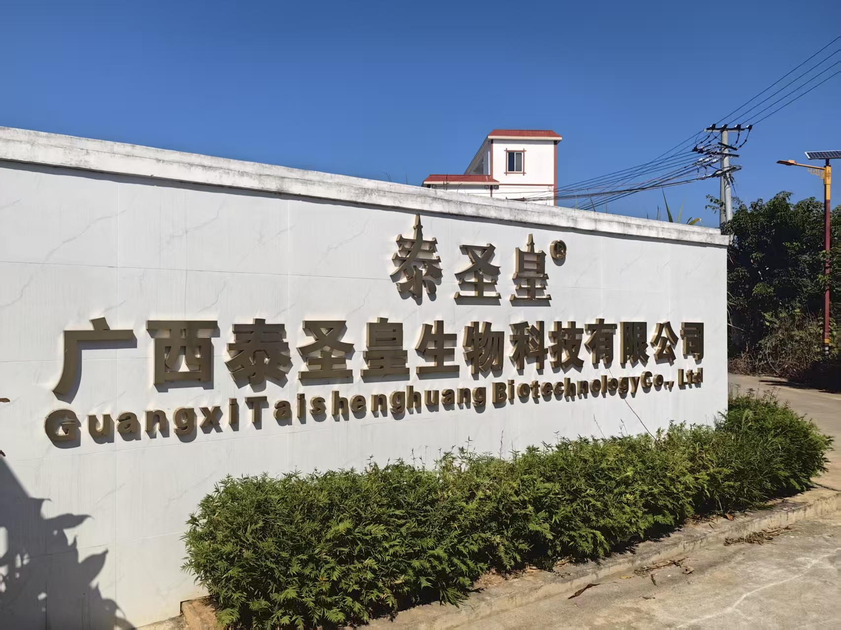 Supplier Album Image