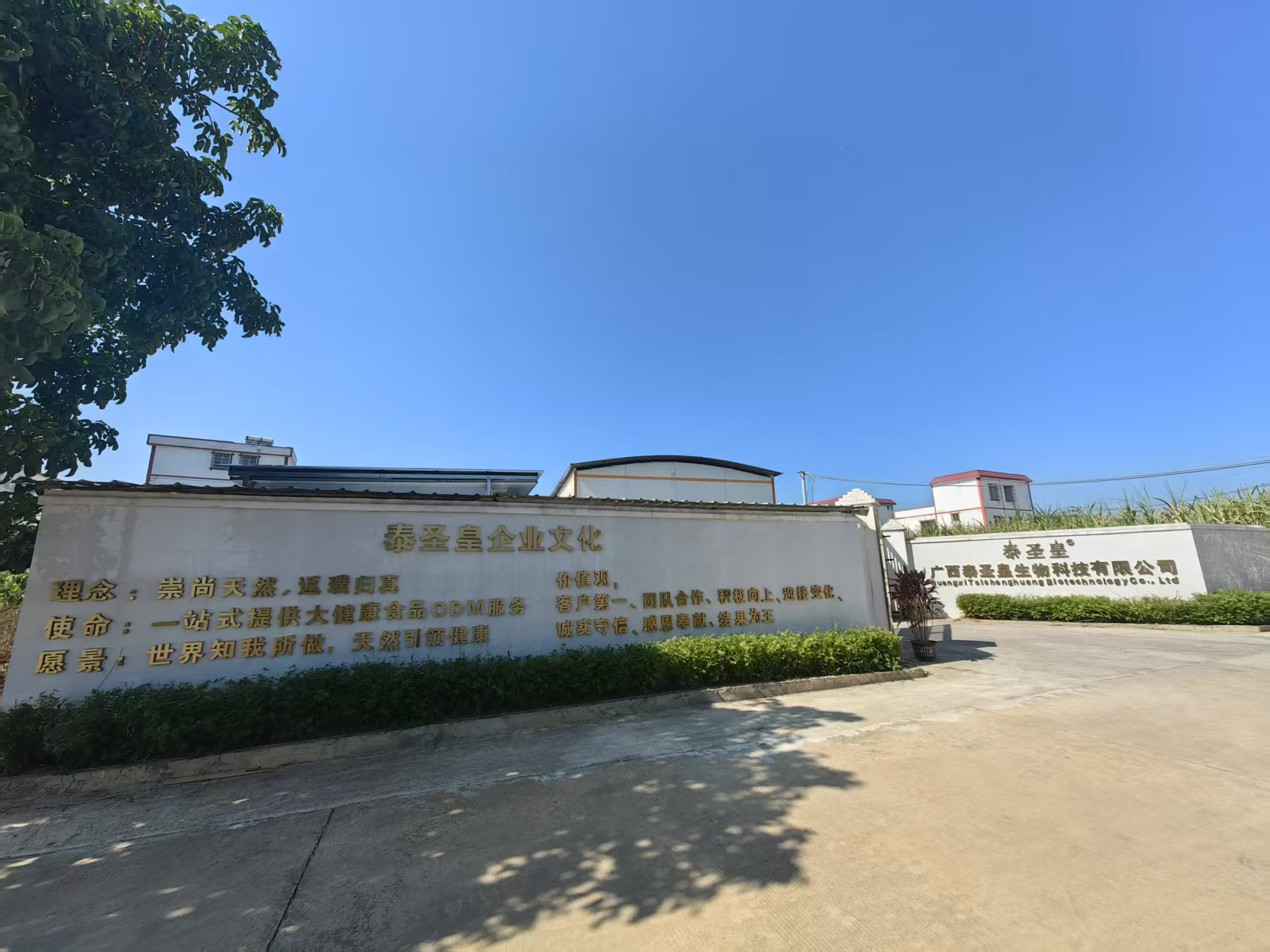 Supplier Album Image