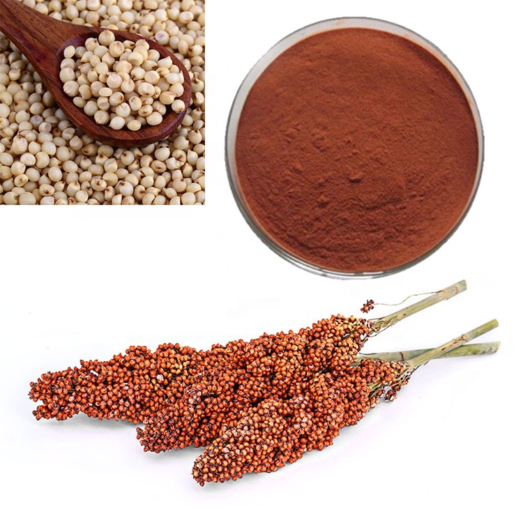 Food & Beverage Additives