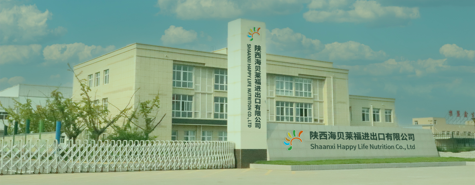 Supplier Album Image