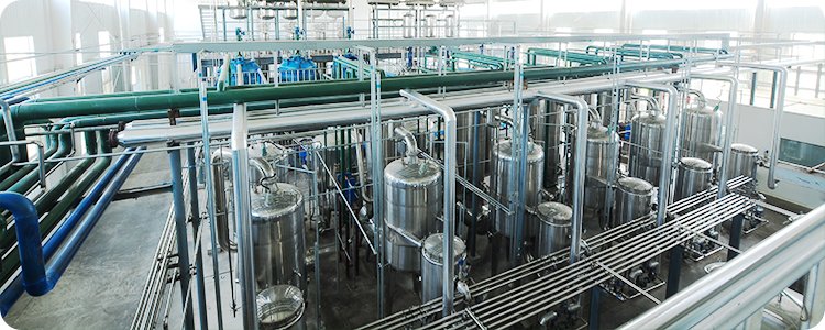 Supplier Album Image