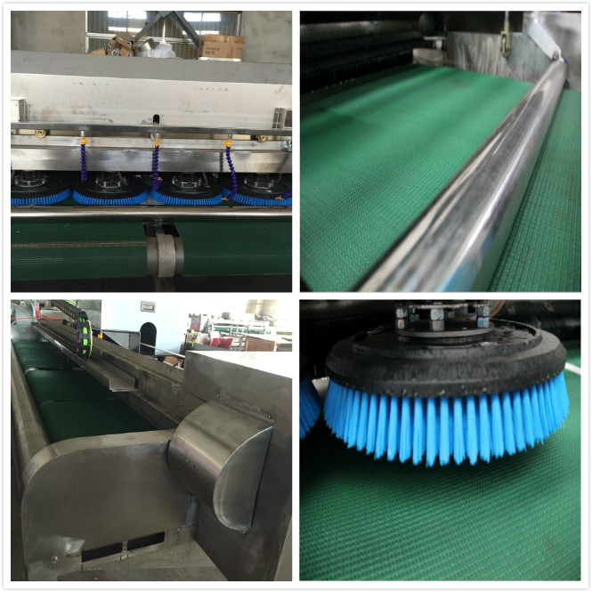 Carpet Washing Machine