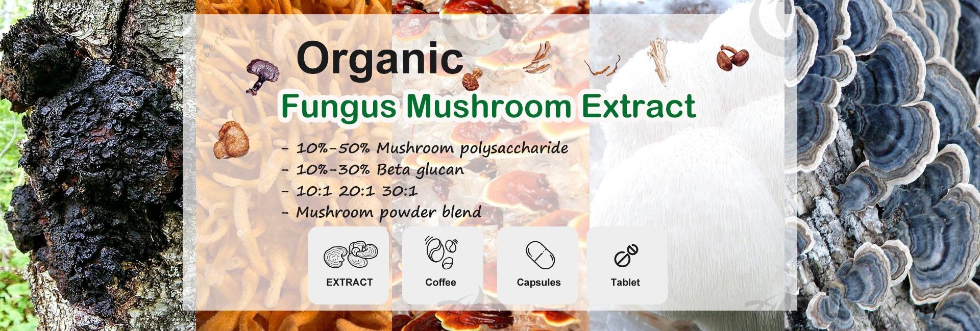 Shaanxi Fruiterco Biotechnology Co., Ltd.