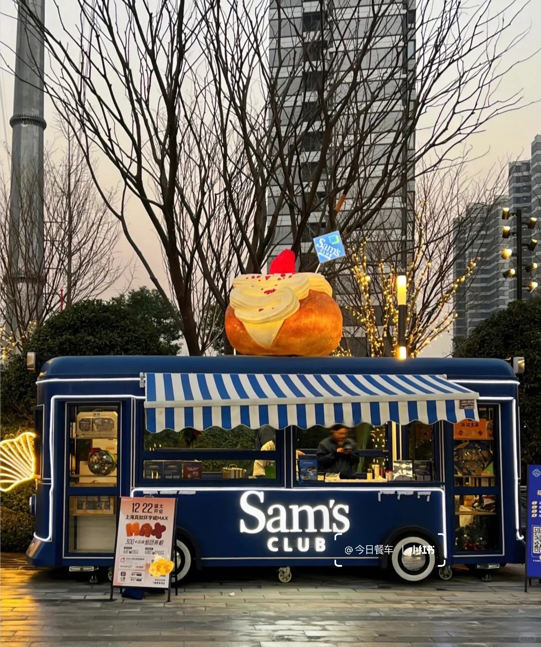 Gull Wing Gate Trialer