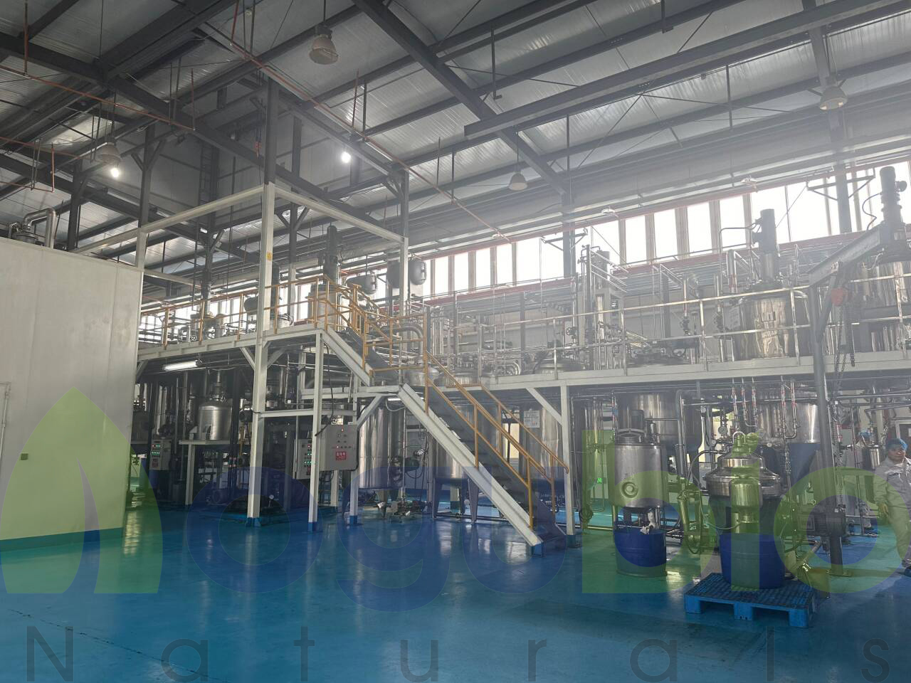 Supplier Album Image