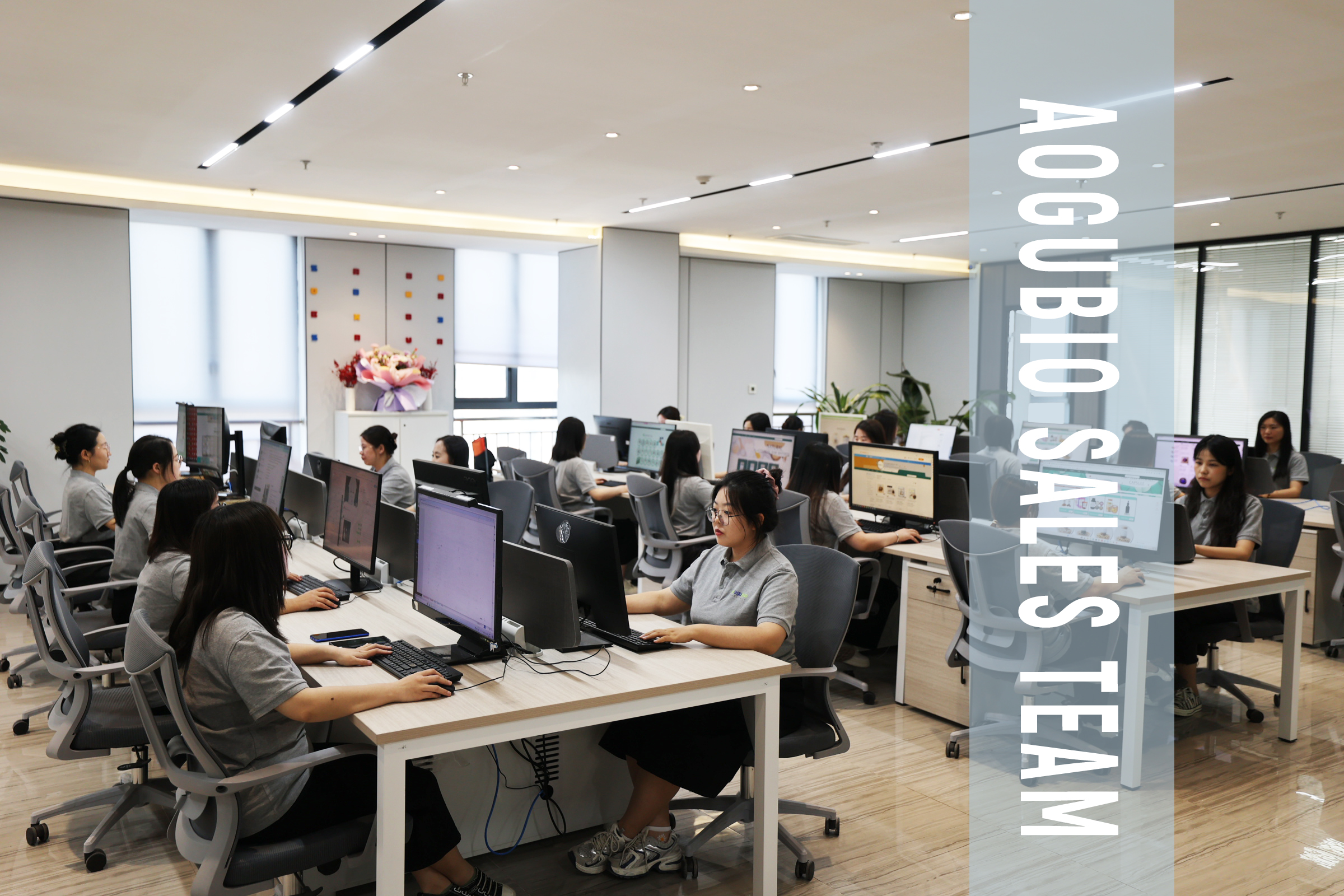 Supplier Album Image