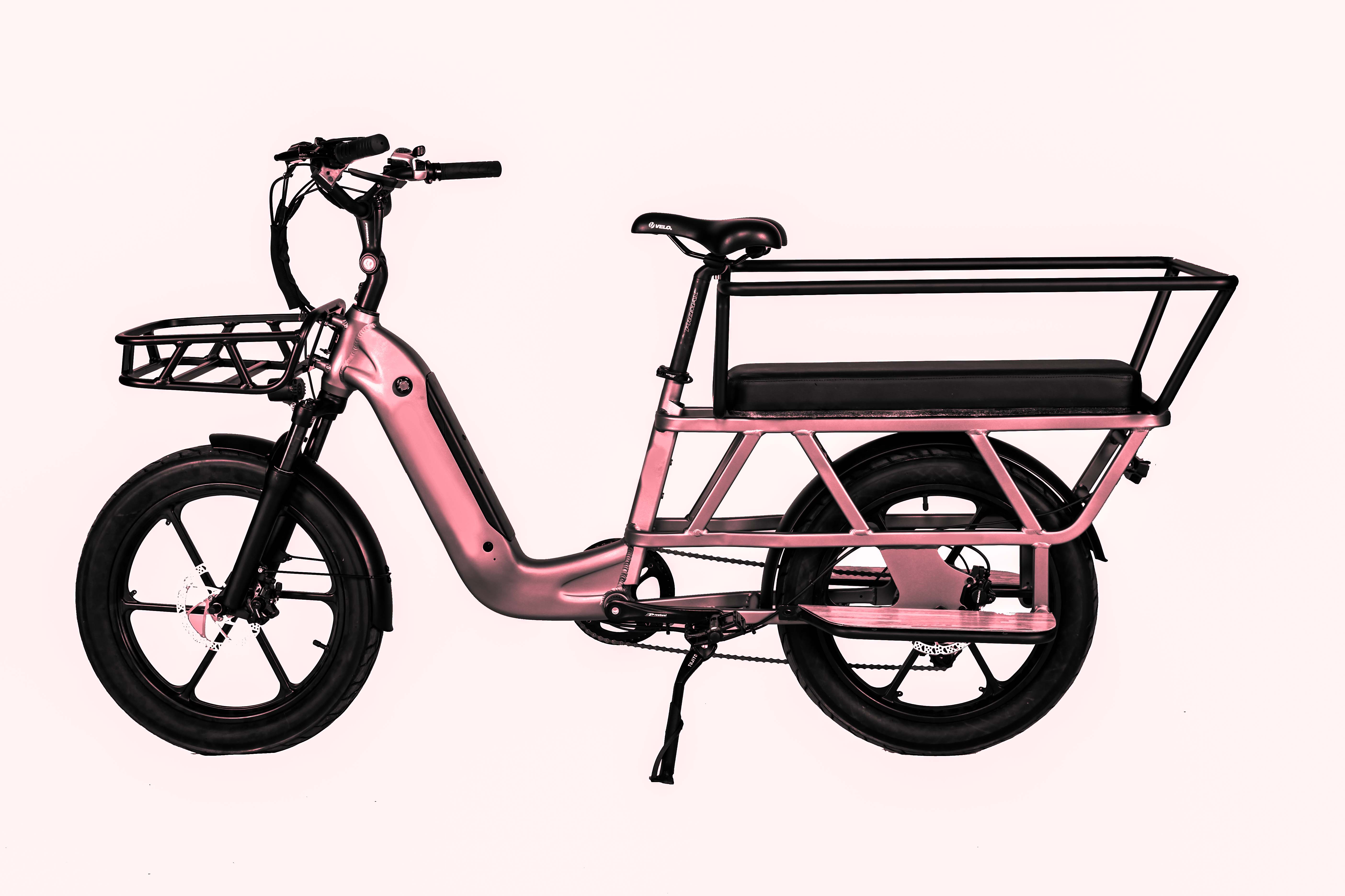 1.Electric Bike