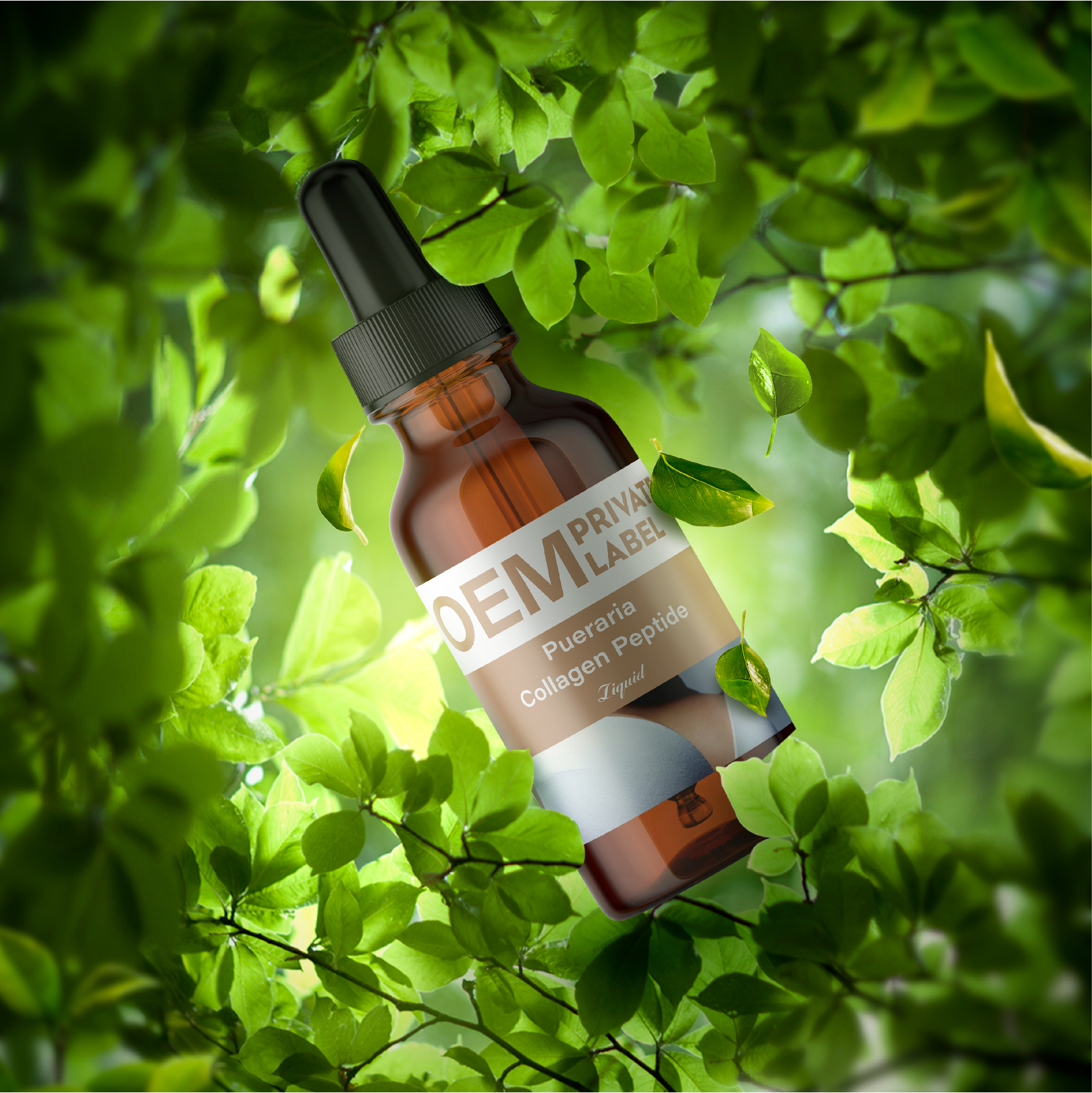 OEM/ODM Herbal Supplements