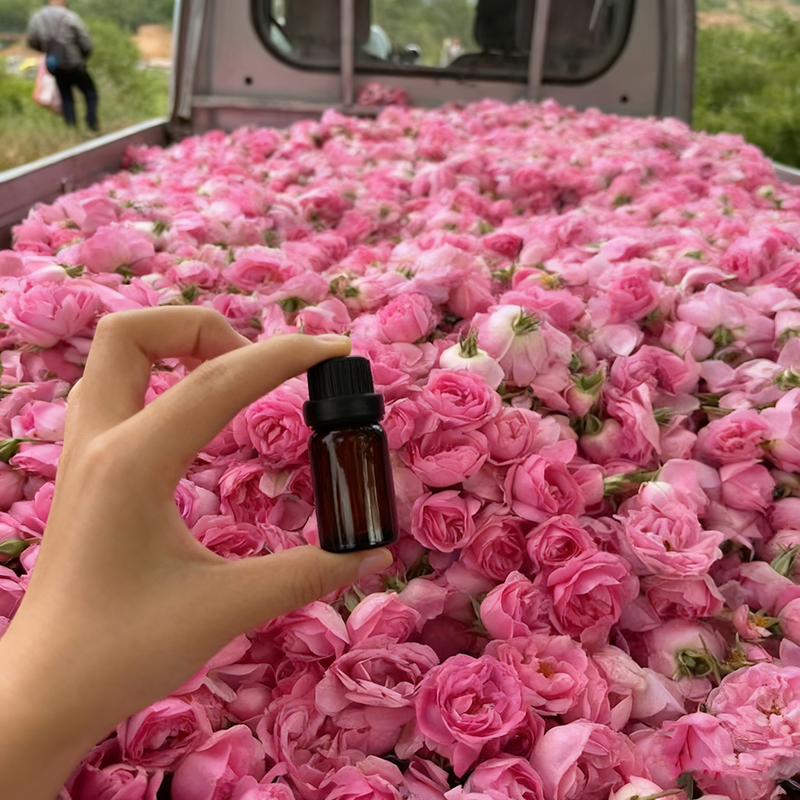 Essential Oil