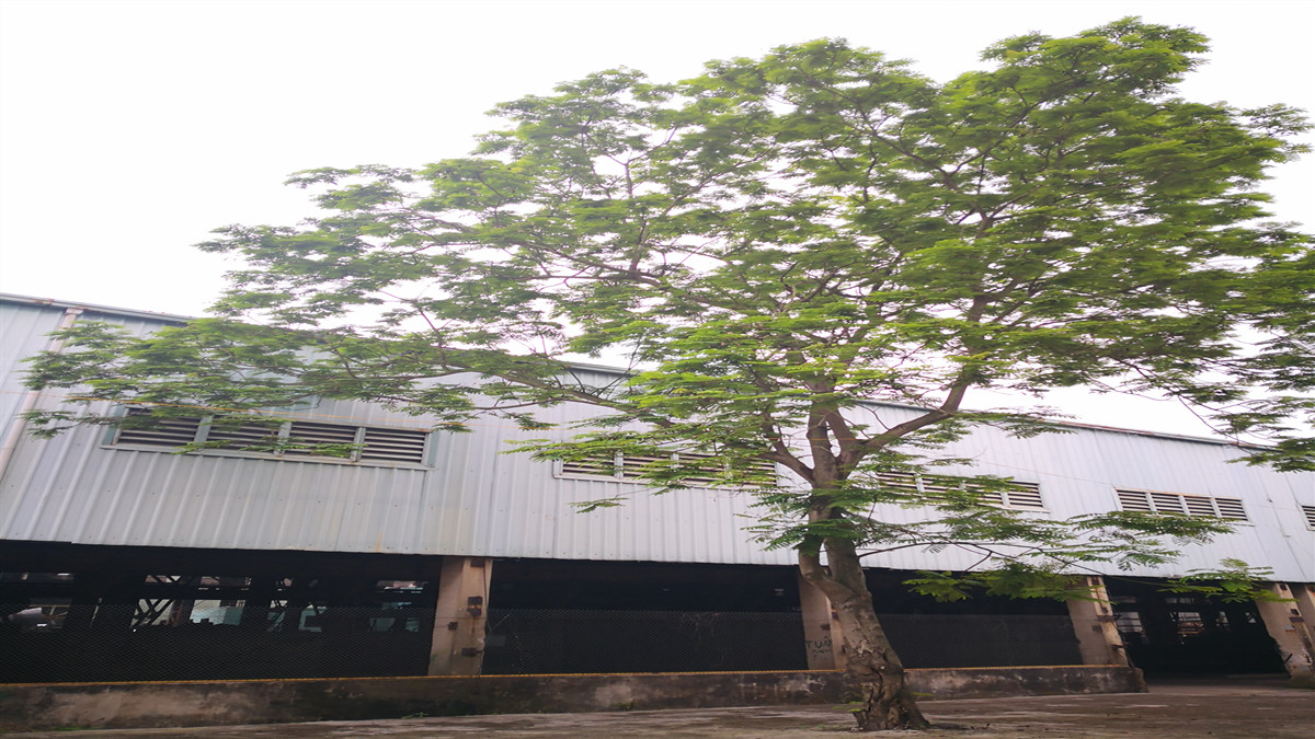 Supplier Album Image