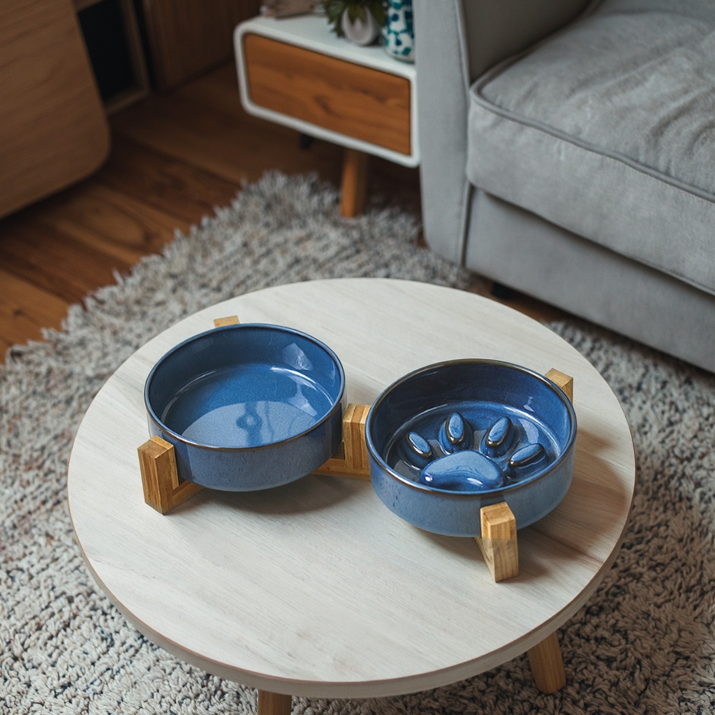 Pet Feeding Products