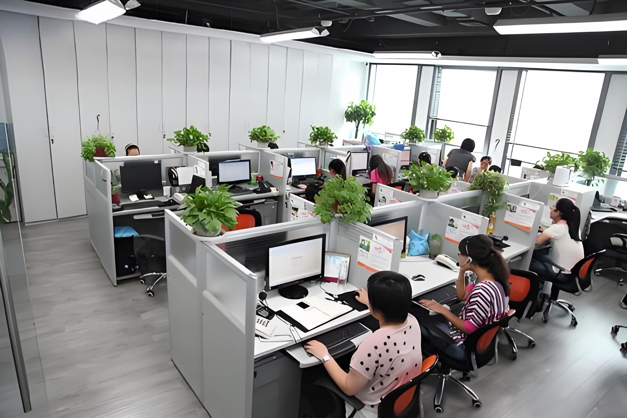 Supplier Album Image