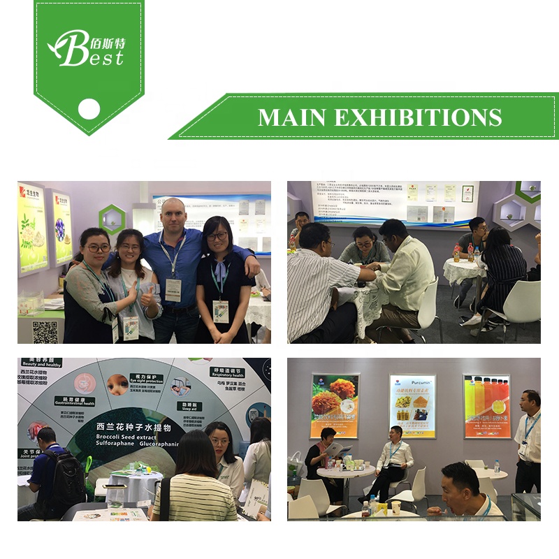 Micro-Encapsulation Oil Powder