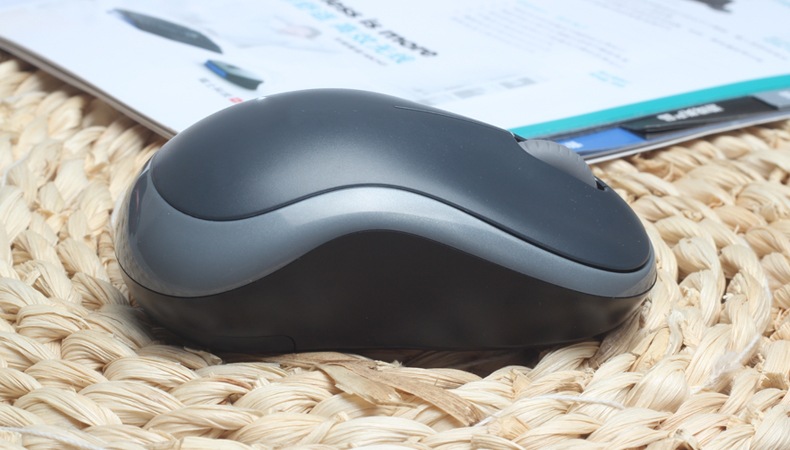 Computer Mouse