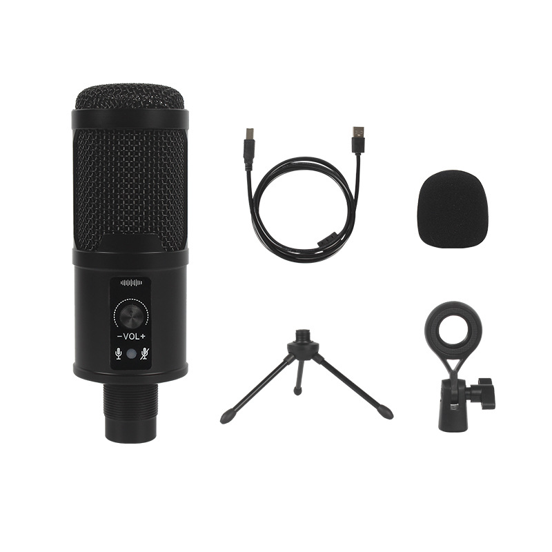 Accessories - Microphone