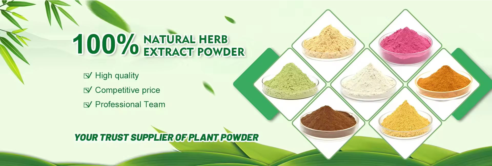 Guangzhou Shengmei Pharmaceutical Co., Ltd.