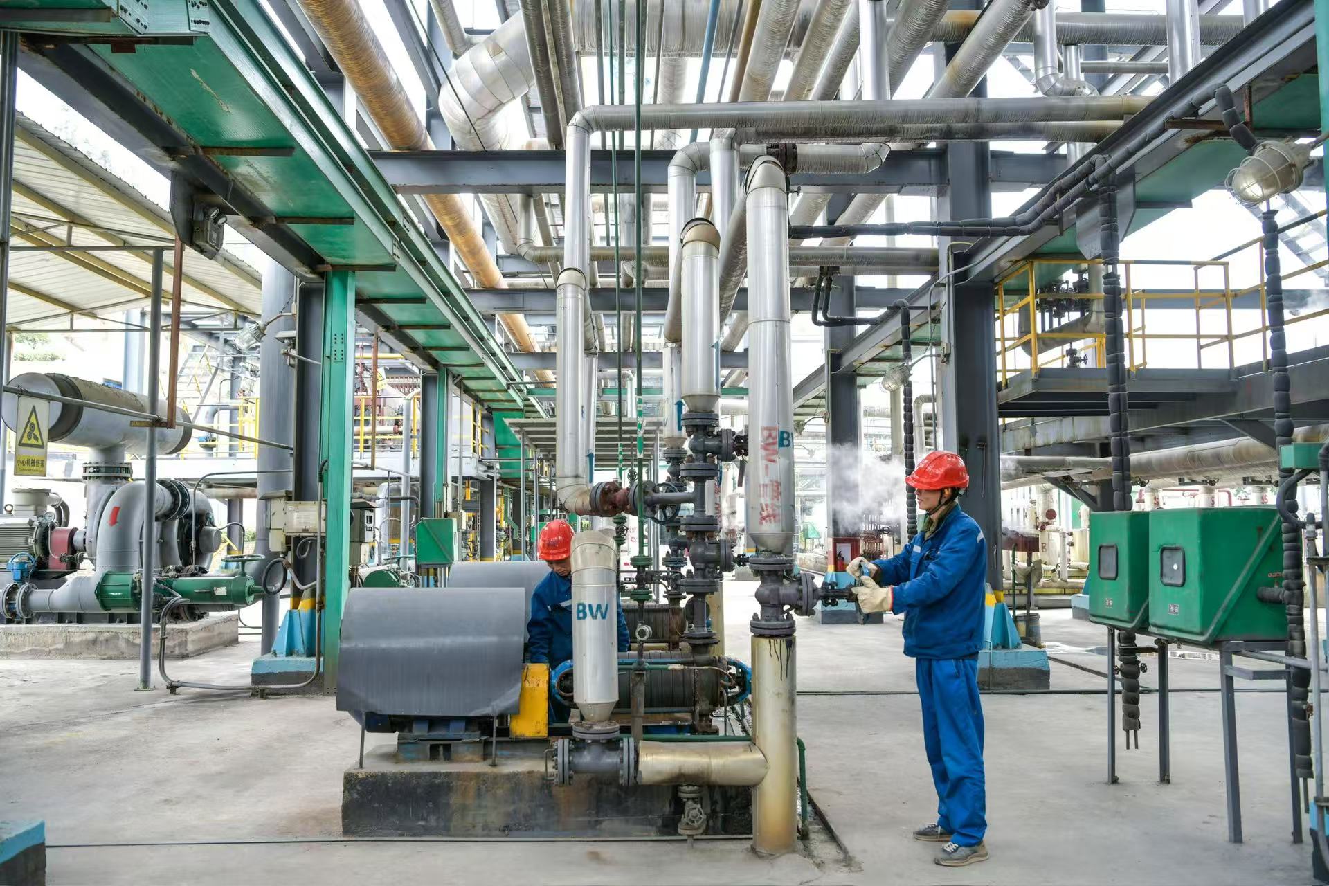 Supplier Album Image