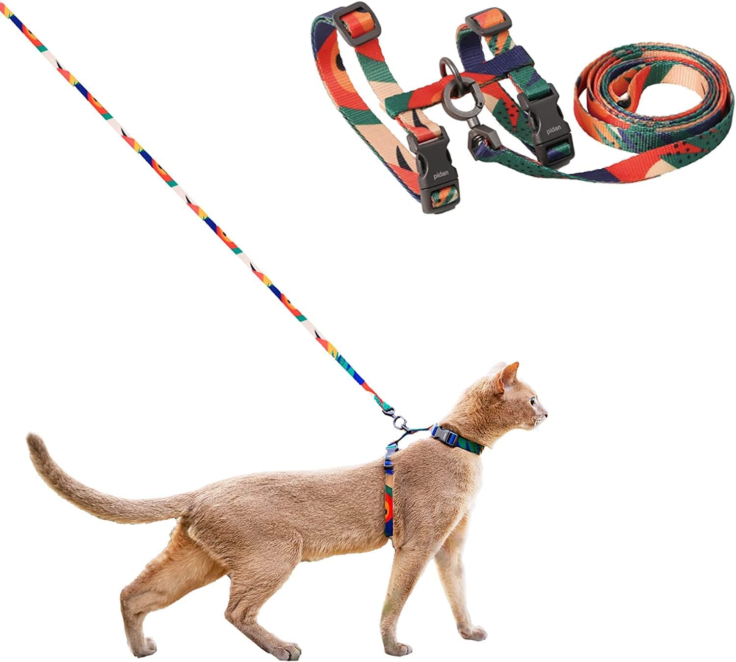 Pet Collar&Leash