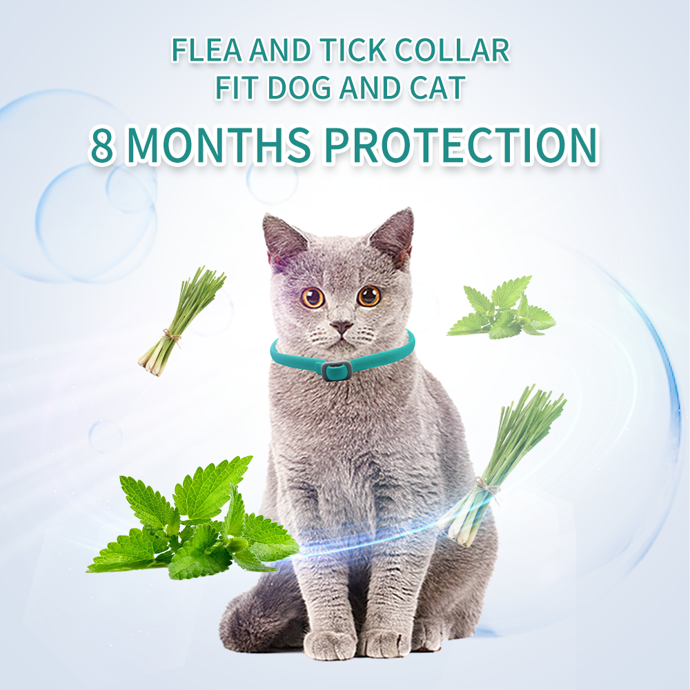 Flea and tick collar