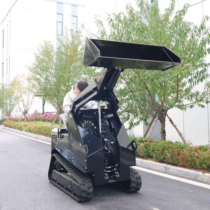 Skid-Steer Loader