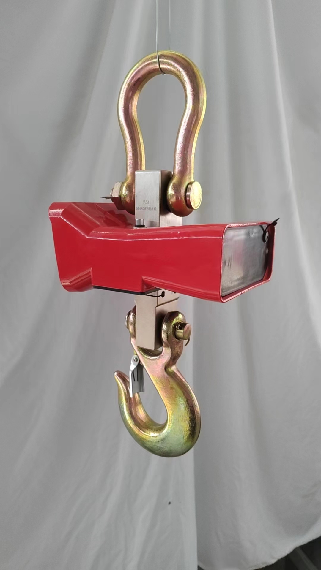 Electric crane scale