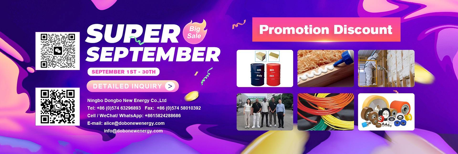 Ningbo Dongbo New Energy Co., Ltd.