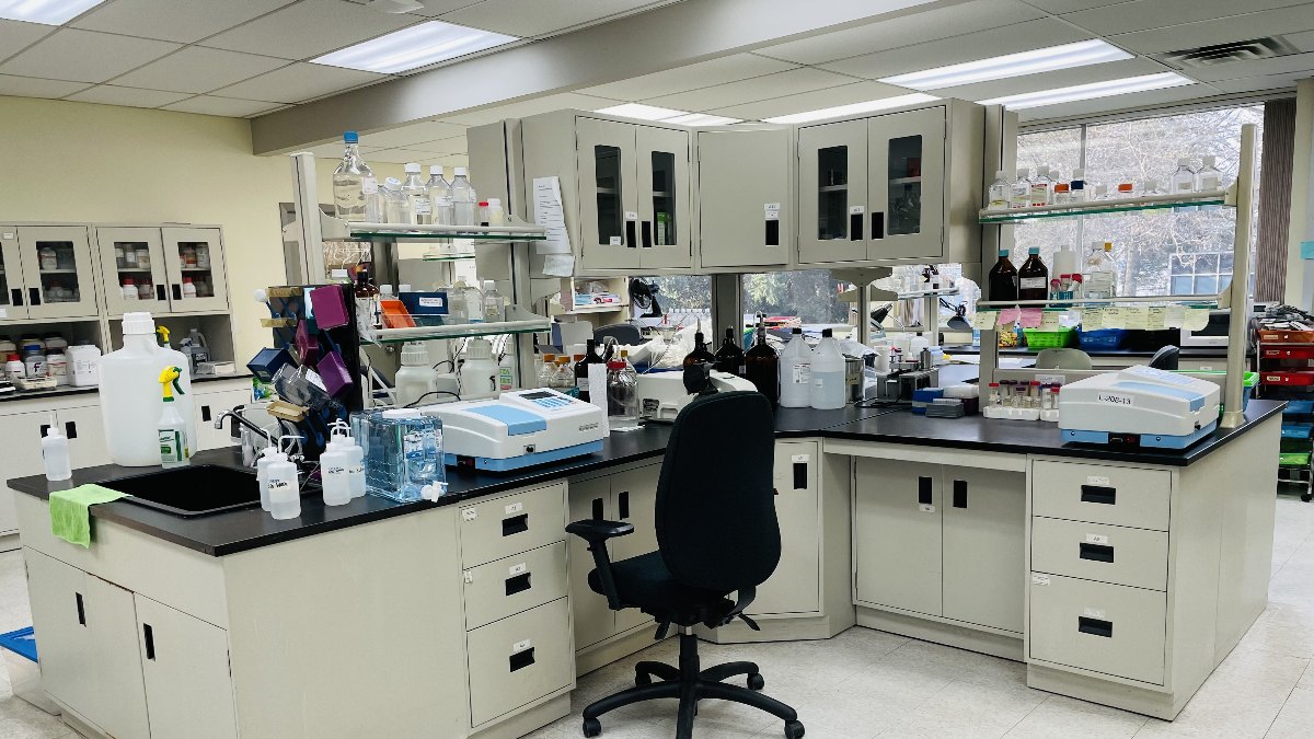 Supplier Album Image