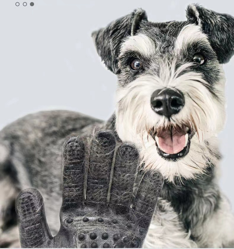 Pet gloves