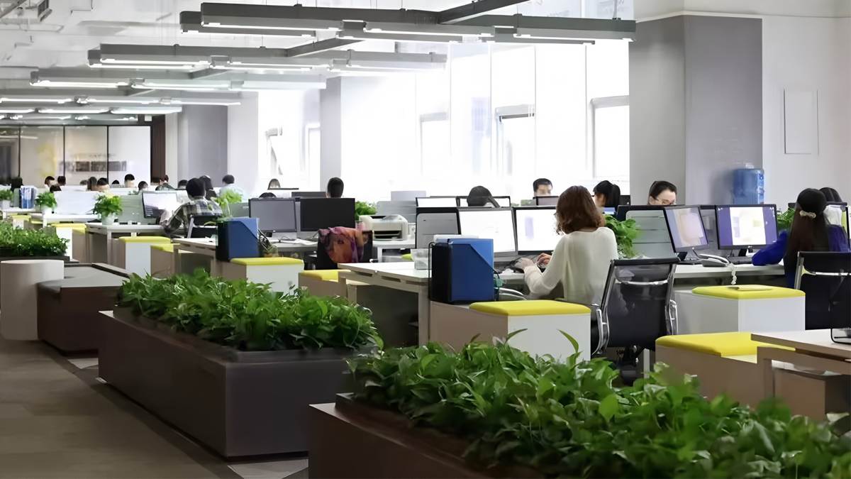 Supplier Album Image