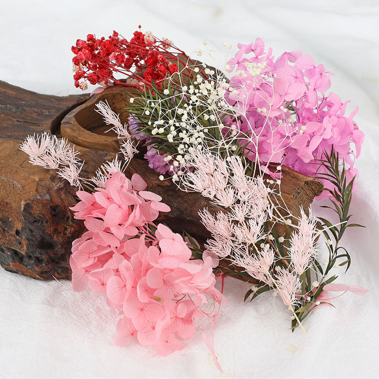 Dried Preserved Flowers