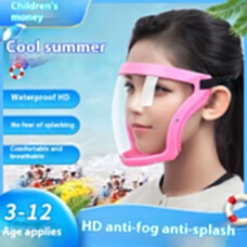 Face Shield