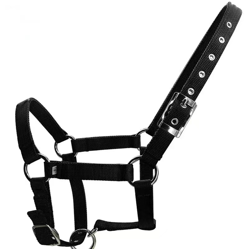 Equine & Equestrian Equipment