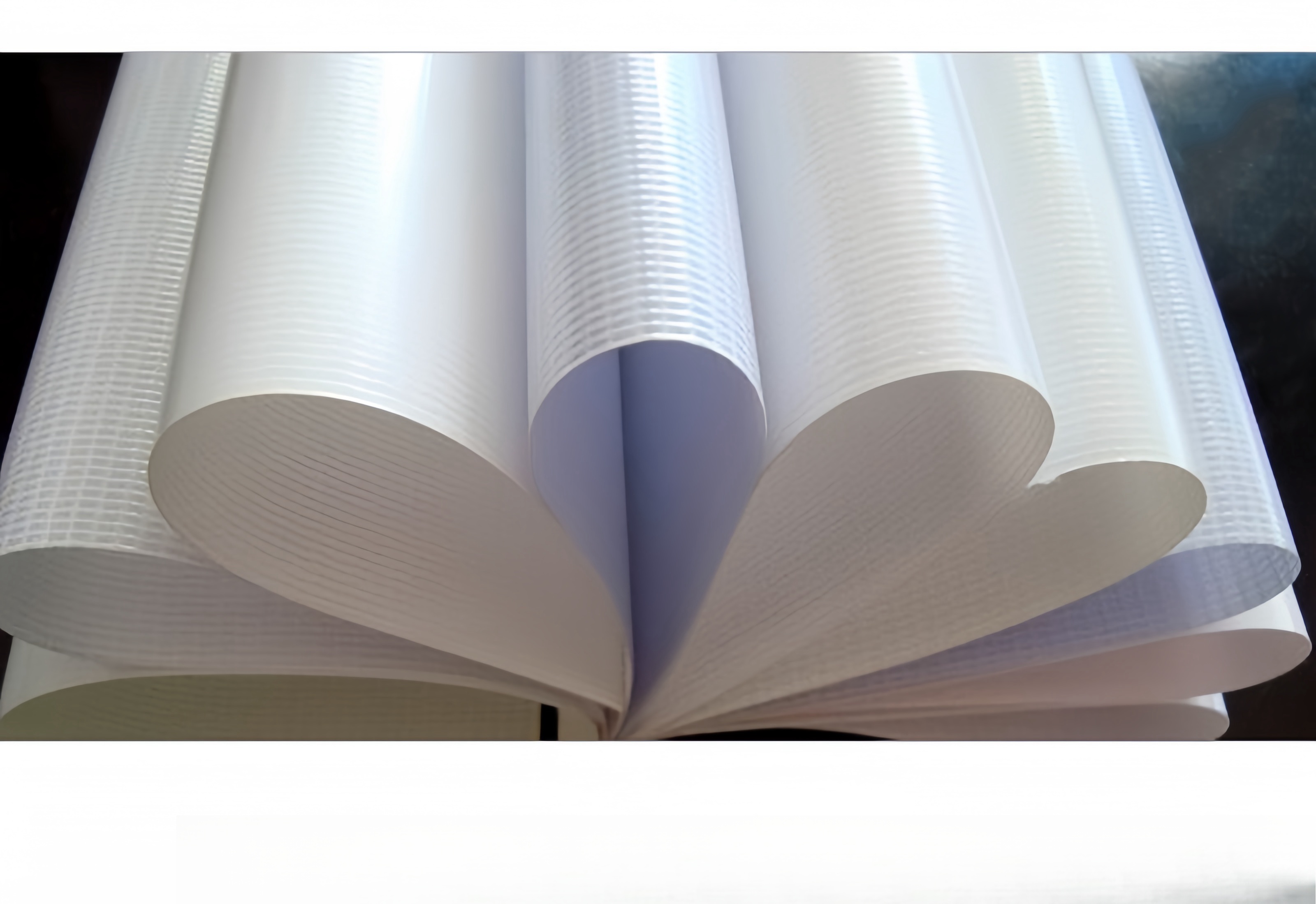 Special Material Tarpaulin