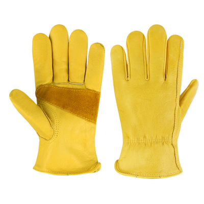 Function Gloves