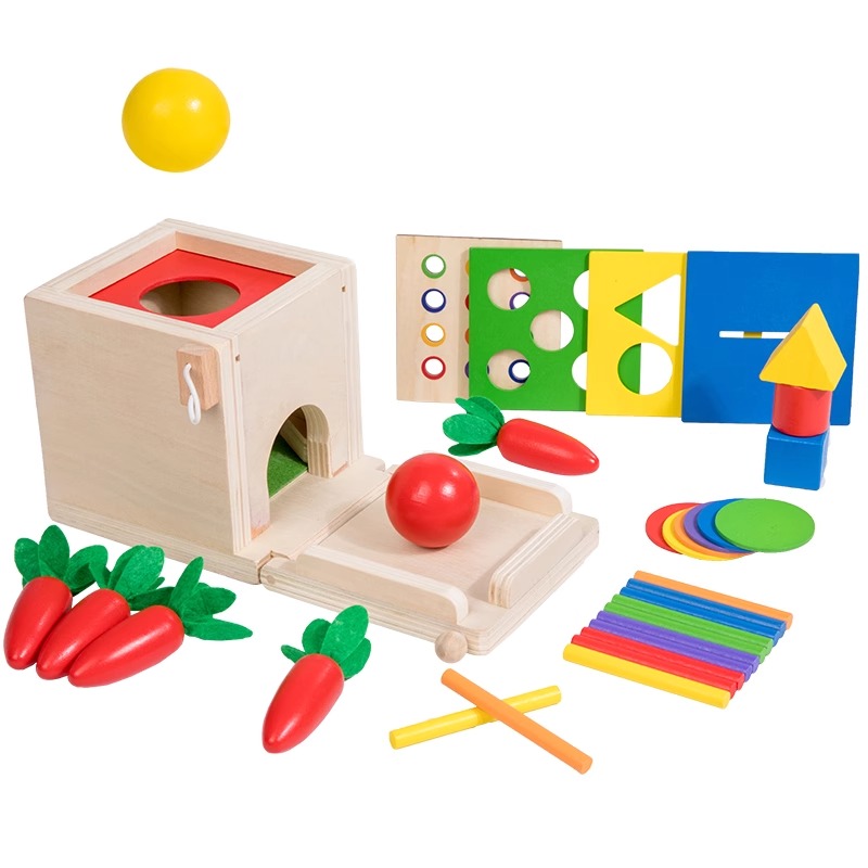 Wooden Montessori Toy