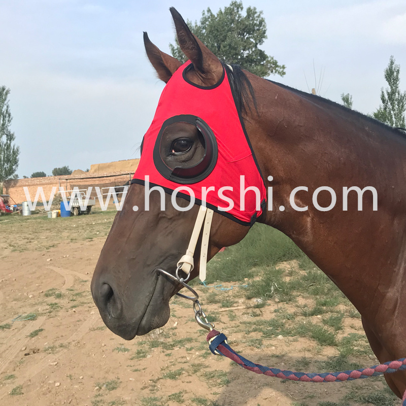 horse blanket.mask