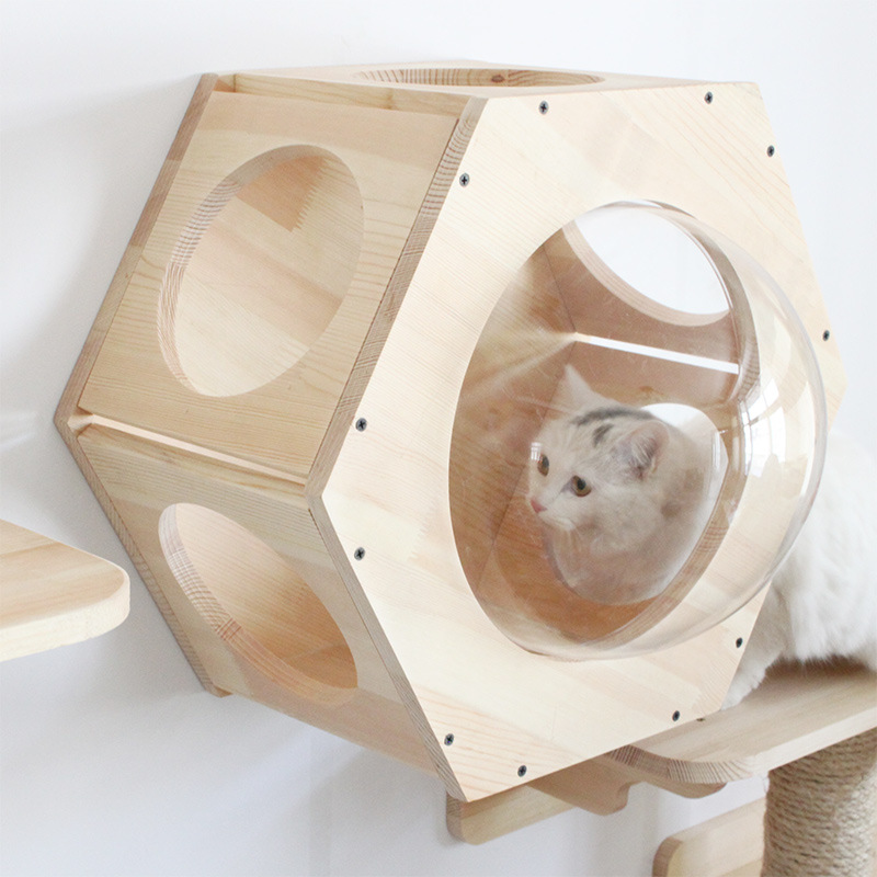 DIY Cat Wall Climbing Frame