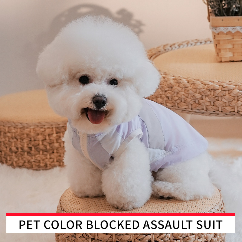 Pet Clothes