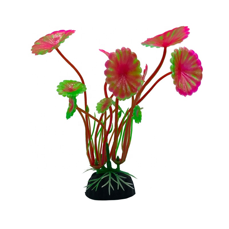 Aquarium Accessories