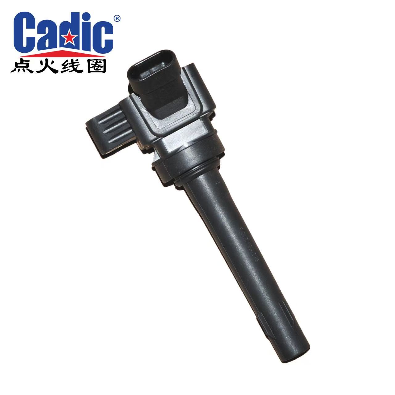 Cadic ignition coil
